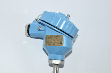 Explosion proof temperature sensor