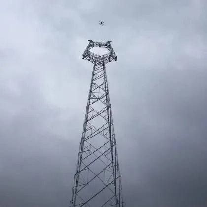 Steel Inner Suspended Gin Pole