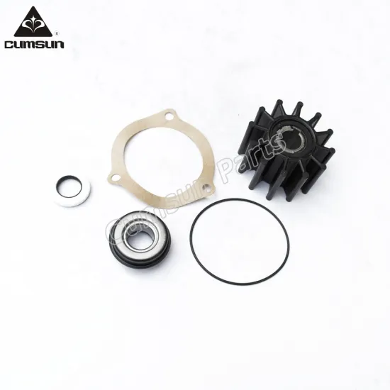 6BT5.9-GM83 6BTA5.9-GM115 raw sea water pump kit 3908220