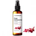 Damasco floral rosa rosa hidrosol Rose Water Skin Toner para cuidados com a pele