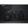 Powerful electric bike 48V 1000W ebike