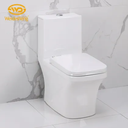 P Trap Washdown S P Trap One Piece Toilet with European Ceramic Seat, 180mm