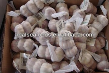 China Fresh Garlic - Spicy Vegetable For Export