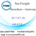 Consolidación LCL del puerto de Shenzhen a Amberes