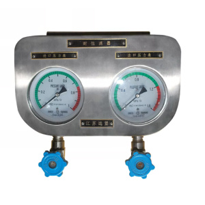 Customized Stainless Steel Pressure Gauge For Marine