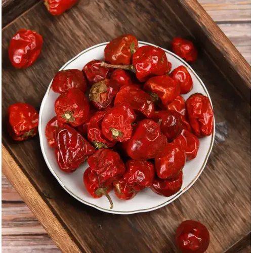 Lantern Pepper Premium dried chili bell pepper discount Lantern Pepper Supplier