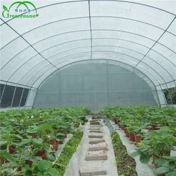 Low Cost MYXL Plastic Film Arch Pipe High Tunnel Greenhouse for Sale