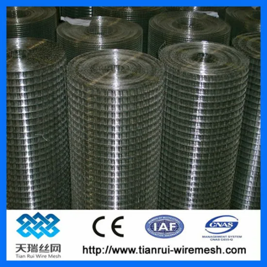 Steel wire stainless steel wire mesh (factory)