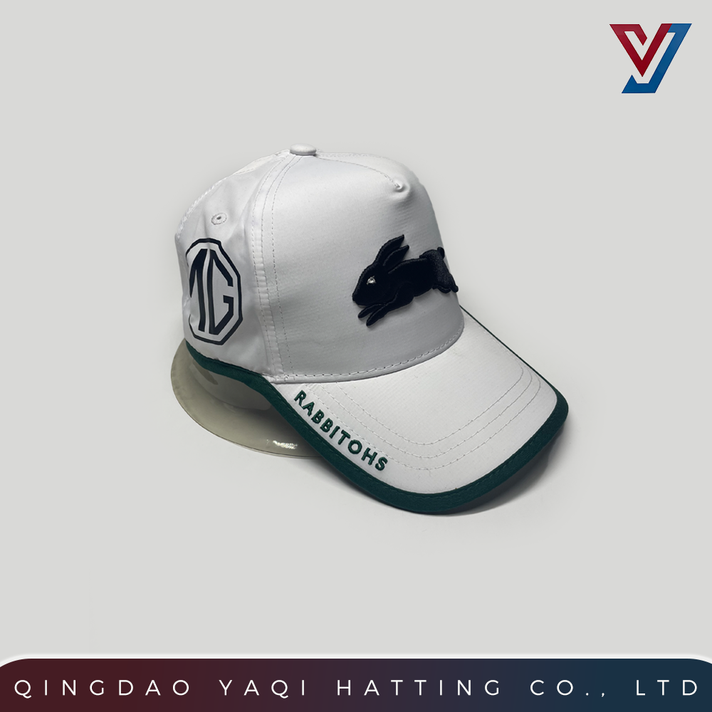 Printed Embroidery Baseball Cap with Curved Brim