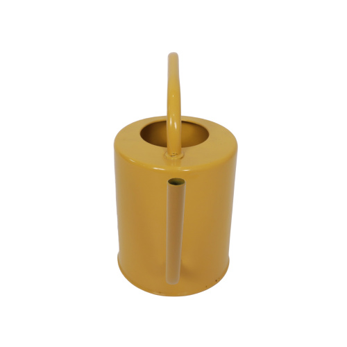 Metal Watering Can WW2536P