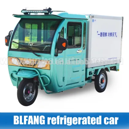 China Factory Price small electric tricycle refrigerated vehicles