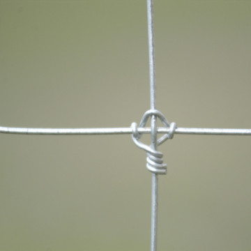 Fixed Knot Galvanized Kraal Network