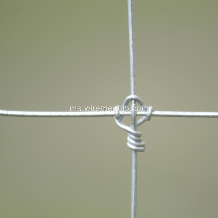 Rangkaian Kraal Galvanized Knot Tetap