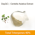 Centella Asiatica 추출물 총 트리터 펜 파우더 40% 80%