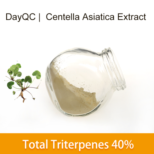 Centella Asiatica Extrato Total Triterpenes Powder 40% 80%