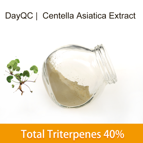 Centella asiatica Extracto total Triterpenos en polvo 40% 80%