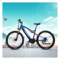 Mountain Electric Bike Suspensionable mountain electric bike Supplier