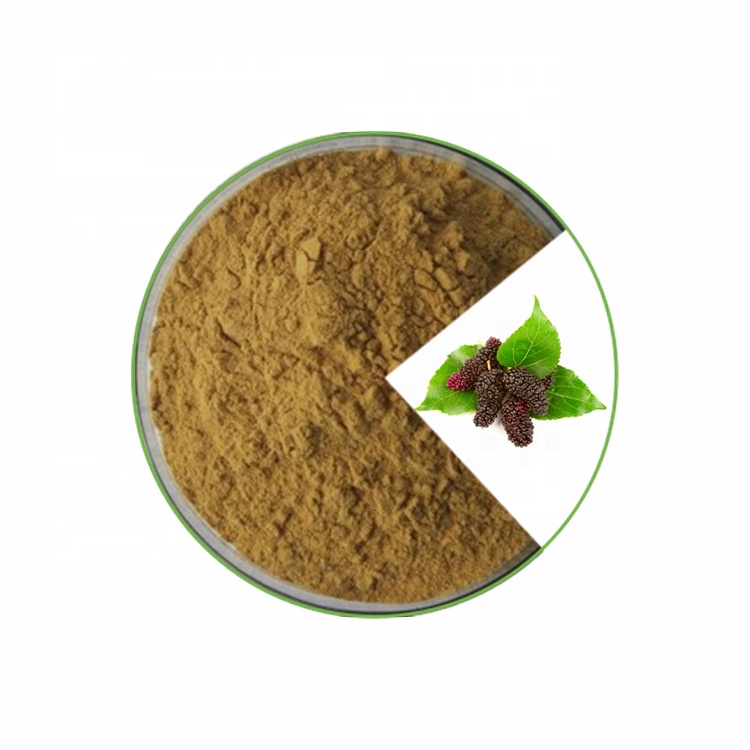 Mulberry Leaf Extract Jpg