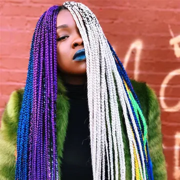 Zizi Braids Crochet Box Braids Colored Synthetic Braiding Hair for Women