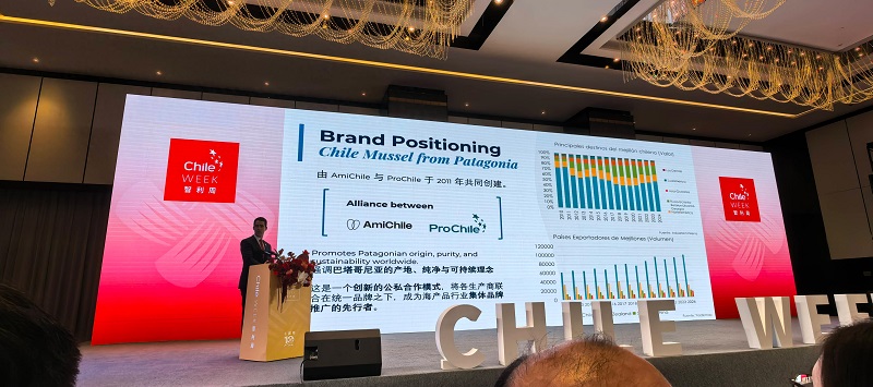 The 10th Chile Week Kicks Off in Chongqing; Tang Daiping, General Manager of Leeyu Precision Technology Co., Ltd., Invited to Participate and Discuss Cooperation
