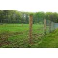 direct sale cattle fence joint knot field fence