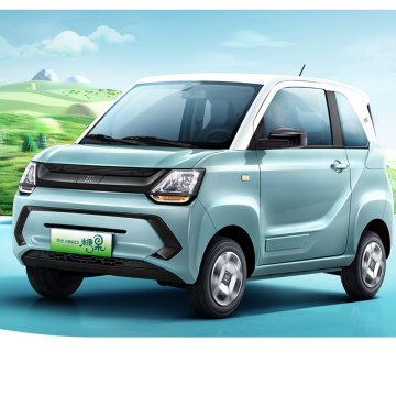 Affordable High-Quality Electric MINI EV by Dongfeng Fengon for Adults