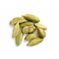 Food Grade Herbal Cardamom Extract