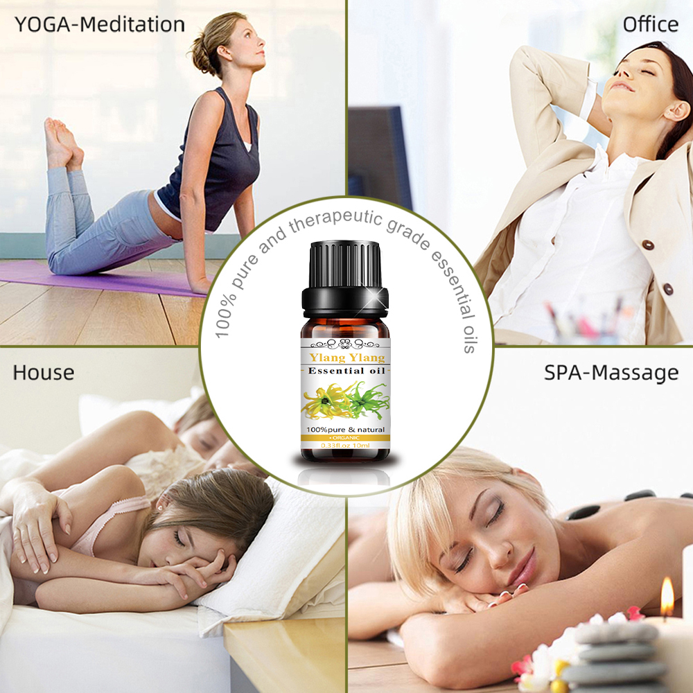 Storage Ylang Ylang Essential Huile en gros avec emballage