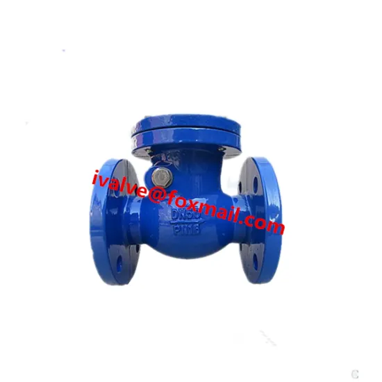 Cast Iron Swing Type Check Valve
