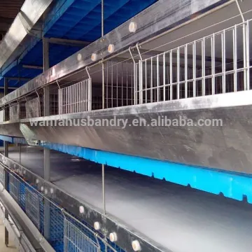 construction of used poultry battery cage system for sale