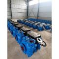 Filter Press Special Slurry Pump