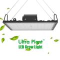 Lámpara de cultivo de espectro completo UV 600W LED