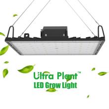 طيف كامل ينمو مصباح UV 600W LED