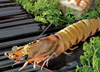 Fresh frozen Ramboo Prawn