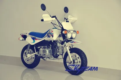 SKYTEAM 50CC 4-STROKE BAJA MONKEY DIRT MOTORCYCLE