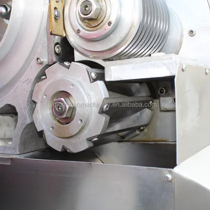 Hot Sale Mango Atchar Cutting Machine | Mango Cube Cutting Machine | Mango Dicing Machine