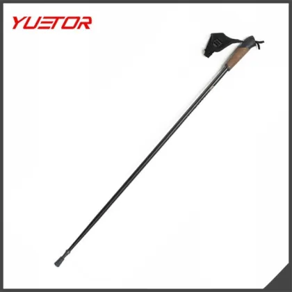carbon telescopic nordic ski poles