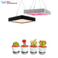 Full spectrum LM301B 600w 800w Led Grow Light