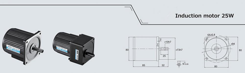 25w Induction Ac Motor