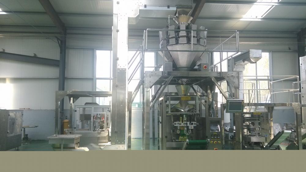 custom Form Fill Seal Packing Machine