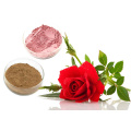 Rose Hip Extract Powder 10:1 Natural Oxidants