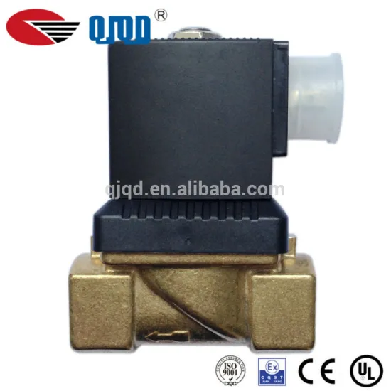 Guide Tpye Diaphragm 220 volt solenoid valve made in china