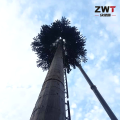 Torre da Árvore de Comunicação Disfarçada