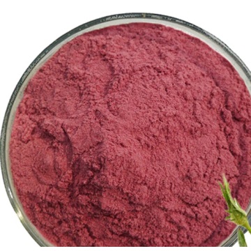 Buy Online Bulk Rose Extract Powder Whole Foods