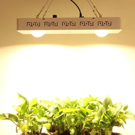 wholesale led plant indoor grow light 200w tissue culture plant led grow light for grow shop
