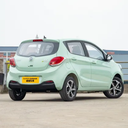 2023 E Star Changan Electric Mini Car
