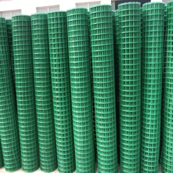 high quality Cheap galvanized welded wire mesh/galvanized welded wire mesh panel ISO9001 factory
