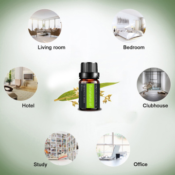 Private Label 100%Pure Eucalyptus Essential Oil for skin