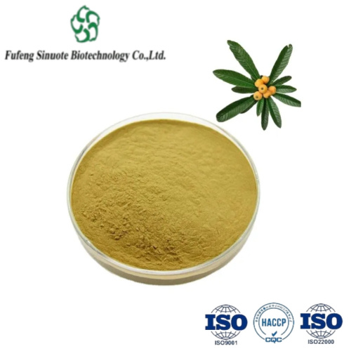 Premium Loquat Powder for Natural Cough Relief and Expectorant