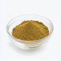 High Quality Cordyceps Militaris Extract